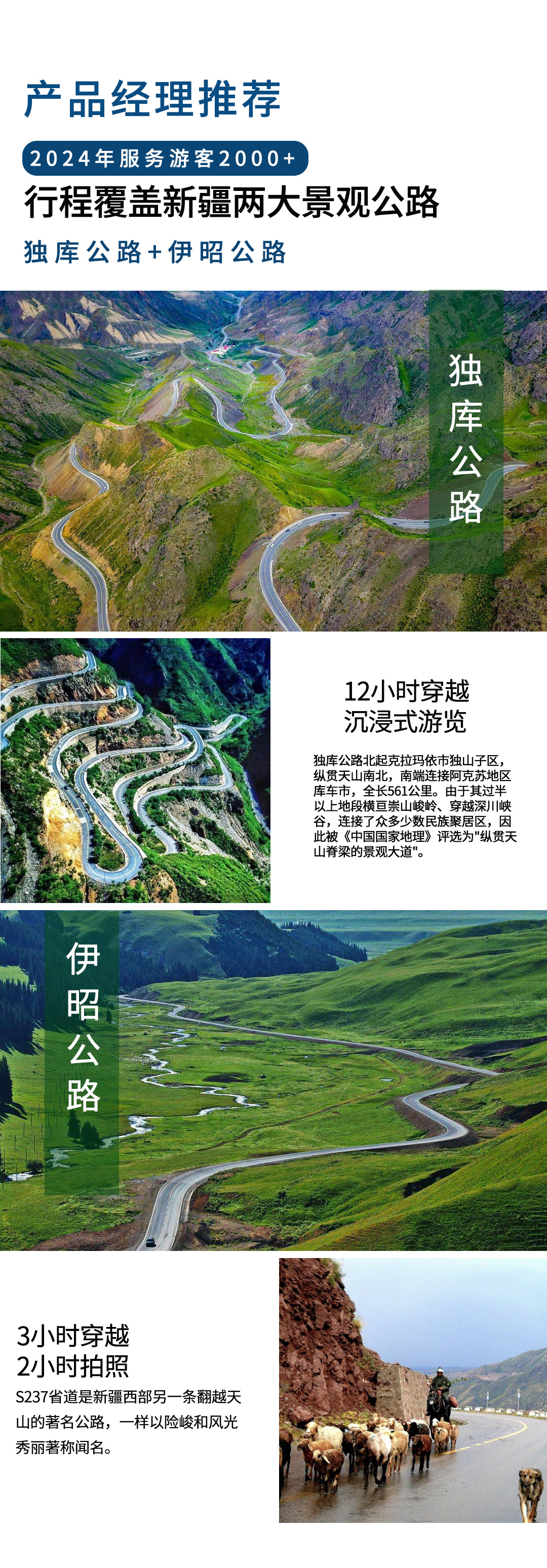 2025獨(dú)伊無(wú)二詳情圖_04